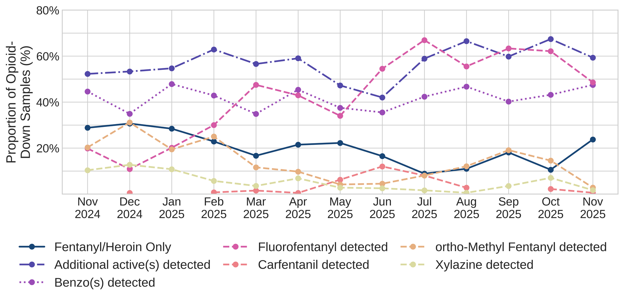 November 2025 Monthly Report